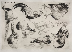 Dinner Service Rousseau Service: Roosters, Ducks, etc. No. 13 by Felix Bracquemond