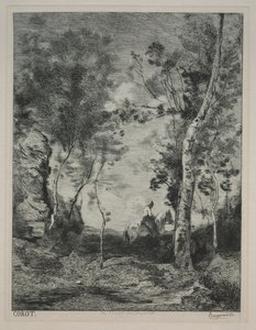 Landscape, or The White Horse, after Corot by Felix Bracquemond