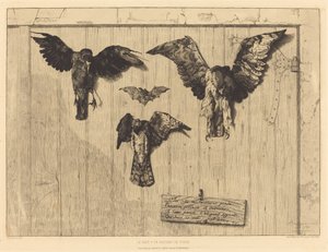 The Top of a Door Leaf (Birds Nailed to a Barn Door) by Felix Bracquemond