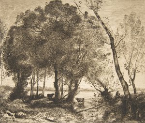 The Lake