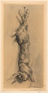 The Wild Rabbit by Felix Bracquemond