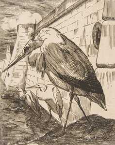 The Storks by Felix Bracquemond