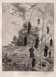 Moles by Felix Bracquemond