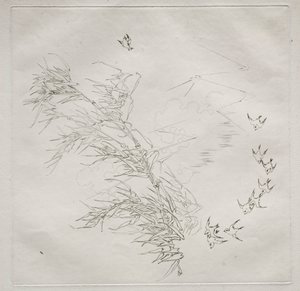 Parisian Service: The Storm (no. 8)