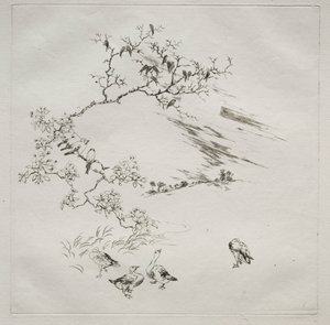 Parisian Service Haviland Service: Night No. 7, 1875 by Felix Bracquemond