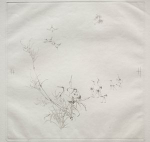 Parisian Service Haviland Service: The Moon No. 5 by Felix Bracquemond