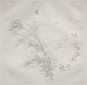 Parisian Service Haviland service: The Storm no. 8