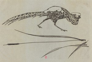 Pheasant by Felix Bracquemond