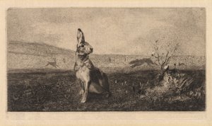 The Hare by Felix Bracquemond