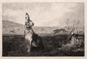 The Hare (after A. de Balleroy) by Felix Bracquemond