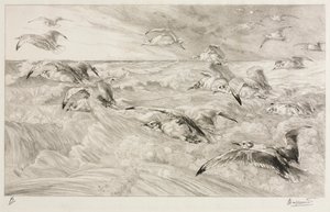 The Seagulls by Felix Bracquemond