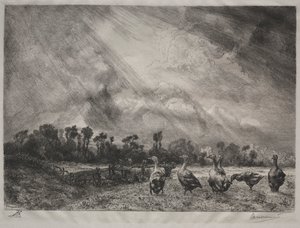 The Storm Cloud by Felix Bracquemond