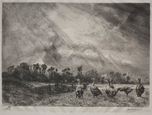 The Storm Cloud, 1878-1887 by Felix Bracquemond