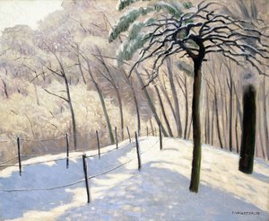 Snowy Landscape in Bois de Boulogne