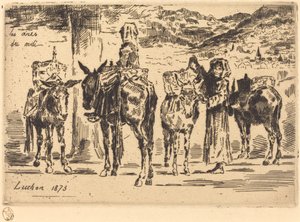 Sheet of Donkeys from the South