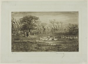 Geese by Felix Hilaire Buhot