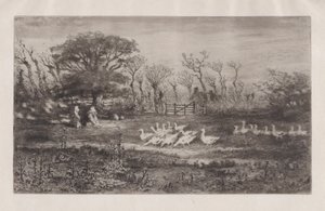 Geese by Felix Hilaire Buhot