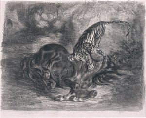 Wild Horse Felled by a Tiger