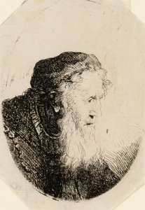 Old Man with Flowing Beard by Ferdinand Bol