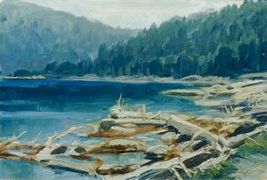Bohemian Forest (from the Portfolio 