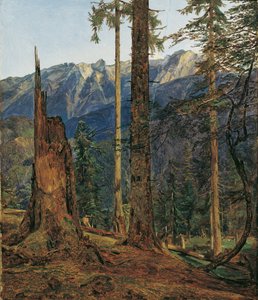 The Höllengebirge near Ischl