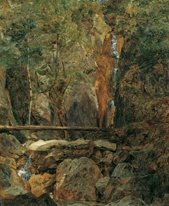 The Rettenbach Wilderness near Ischl