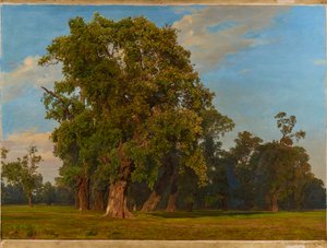 Large Prater Landscape