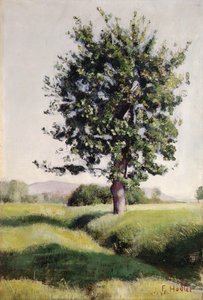 The Tree