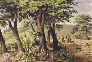August by Ferdinand Karl Klimsch