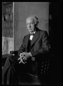 Picture of Richard Strauss (1864-1949)