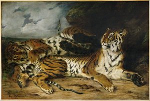 Young Tiger Playing with Its Mother