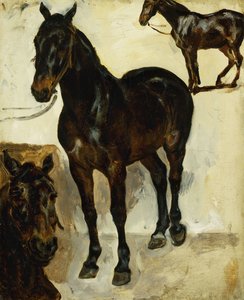 Three Studies of Horses