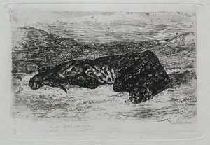 Tiger Lying in the Desert