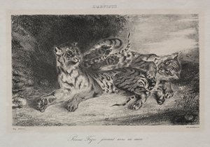 Young Tiger Playing with its Mother, 1831