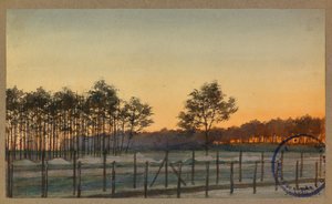 View of the Pine Woods by Fernand Barbier