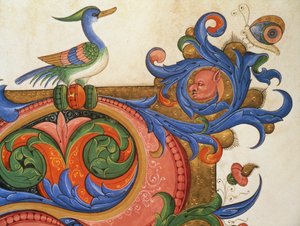 Zoomorphic Foliage with Duck-like Bird and Butterfly (detail)