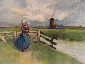 View in Holland