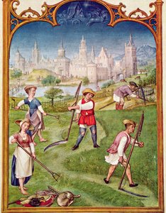 The Month of June: Haymaking, from the Breviarium Grimani