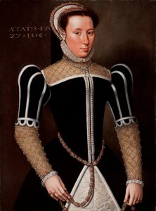 Portrait of a Woman, 1556 by Flemish School