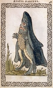 The Sea Bishop or sea monster, illustration from Omnium fere gentium nostraeque aetatis Nationum Habitus et Effigies by Jean Sluperji, Antwerp, 1572