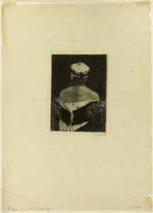 The Model
