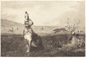 The Hare by Félix Bracquemond after Albert de Balleroy