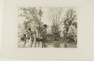 The Willows at Mottiaux