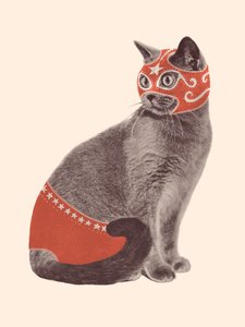 Cat Wrestler
