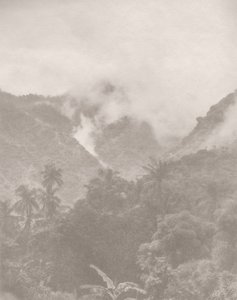 Foggy Jungle 3, 2024 by Florent Bodart