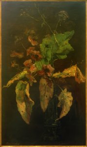 Anemones and Leaves by Floris Verster