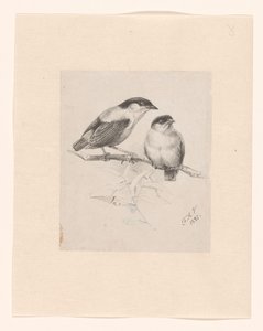 Two Tits on a Branch by Floris Verster