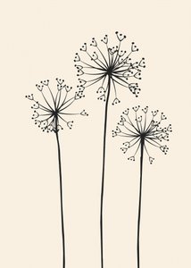 Minimalist Dandelion Blooms