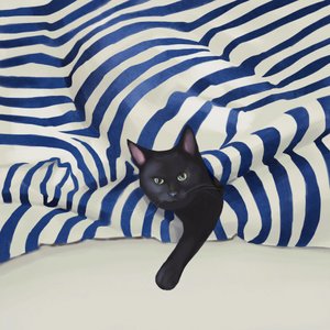 Peeking Black Cat