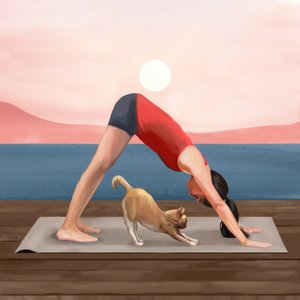 Sunrise Yoga Cat